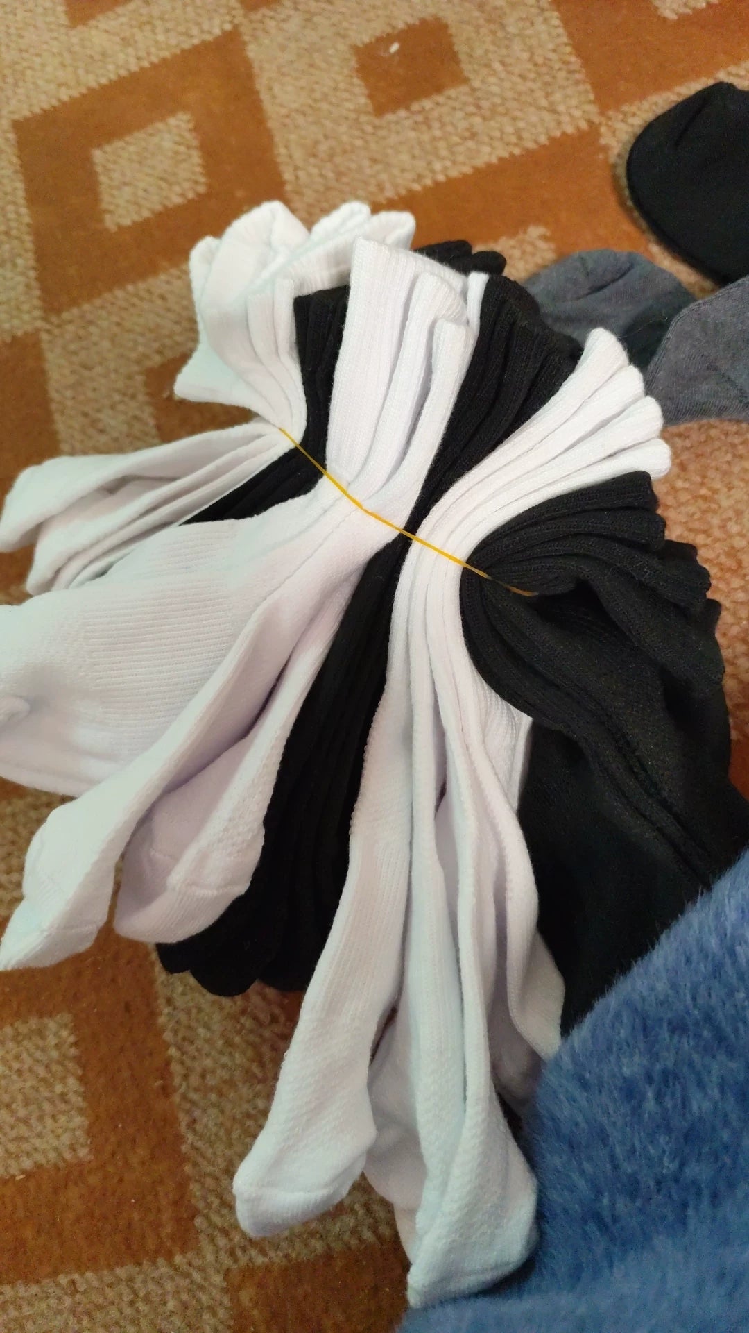 Striped Calf High Socks for Women | Cream Striped Casual Crew