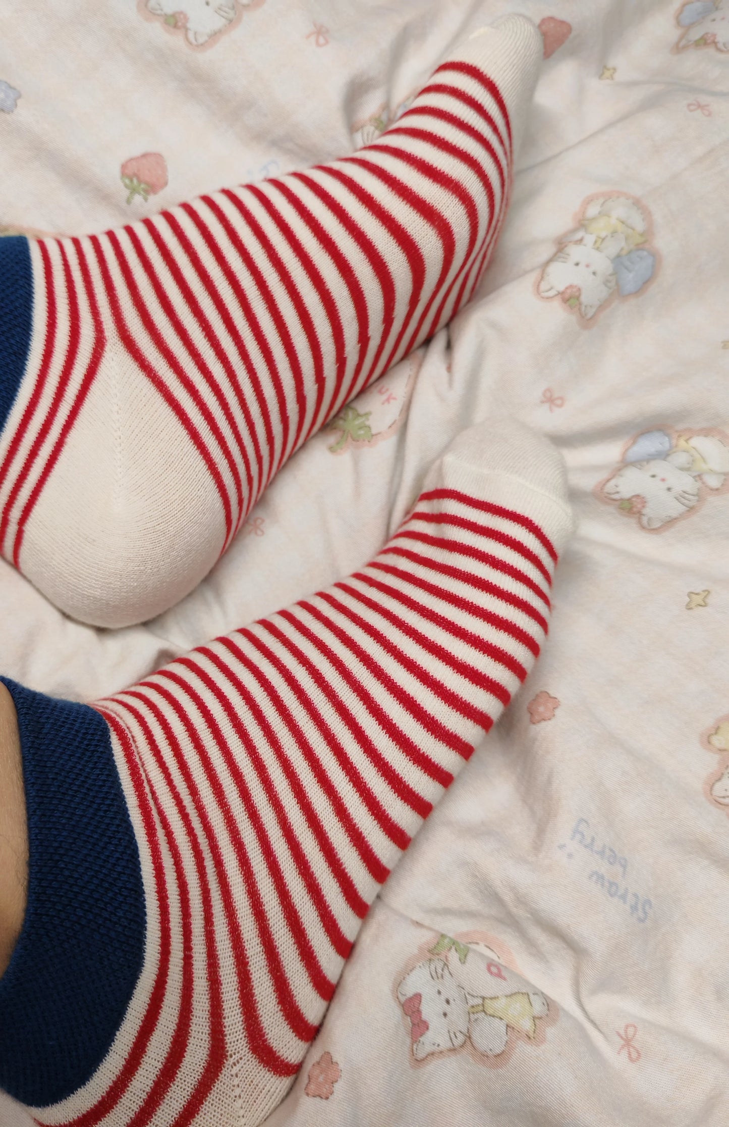 Striped Ankle Socks for Women | Color Block Cotton Casual Socks