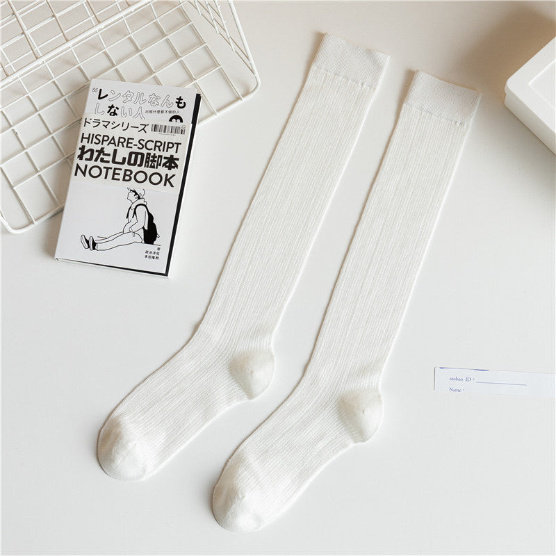 Breathable Mesh Calf Crew Socks | Ballet Miu Style Summer Socks for Women