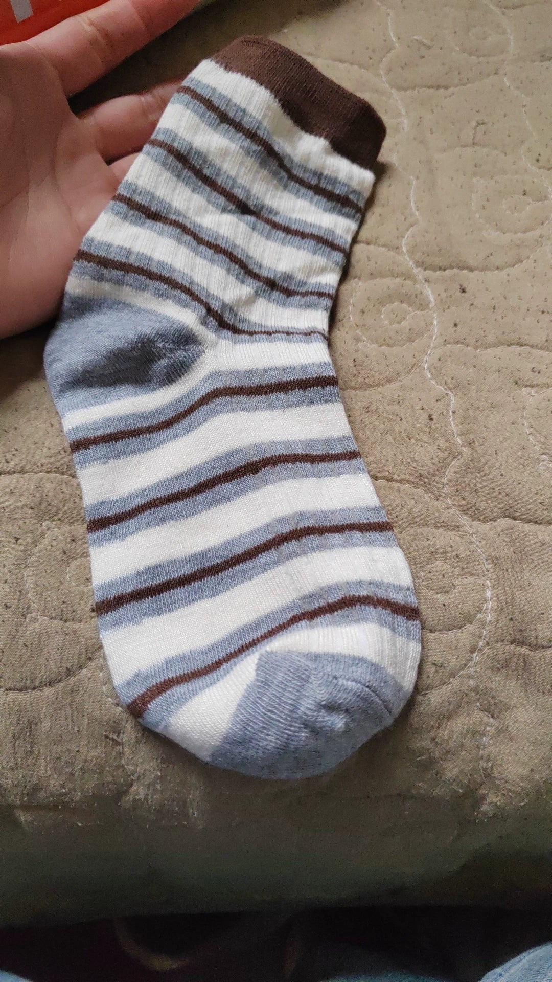 Striped Crew Socks for Women | Casual Trendy Everyday Cotton Socks