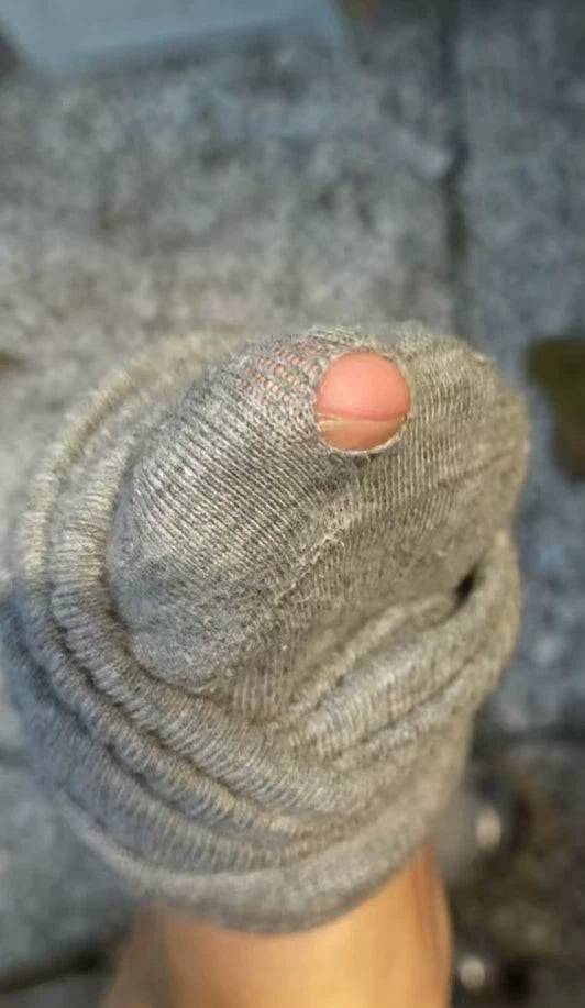 Women's Cotton Crew Socks | Embroidered Neutral Fall Socks