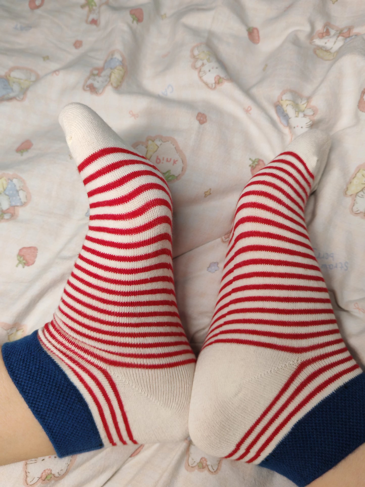 Striped Ankle Socks for Women | Color Block Cotton Casual Socks