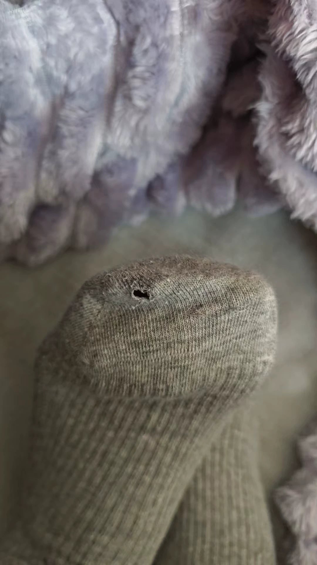 Women's Cotton Crew Socks | Embroidered Neutral Fall Socks