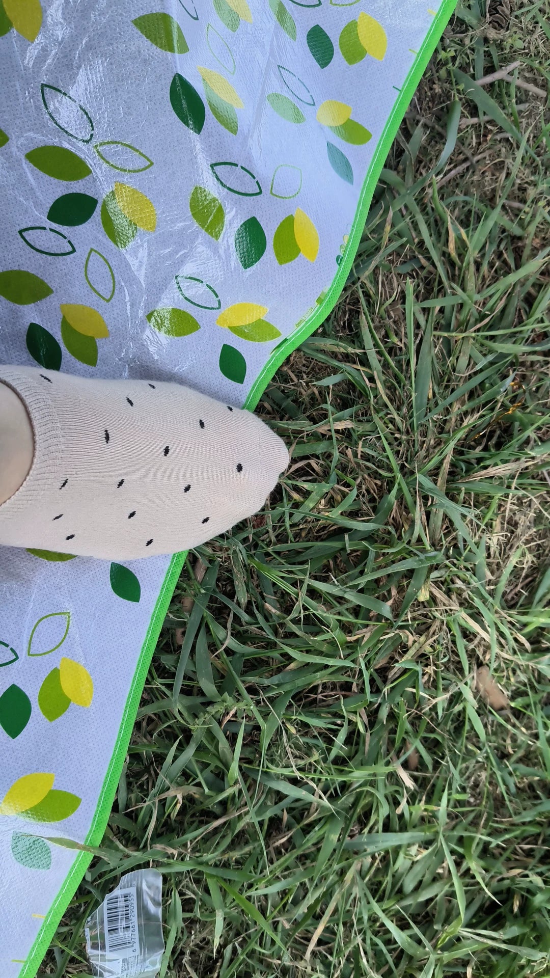 Polka Dot No Show Socks for Women | Breathable Cotton Low Cut