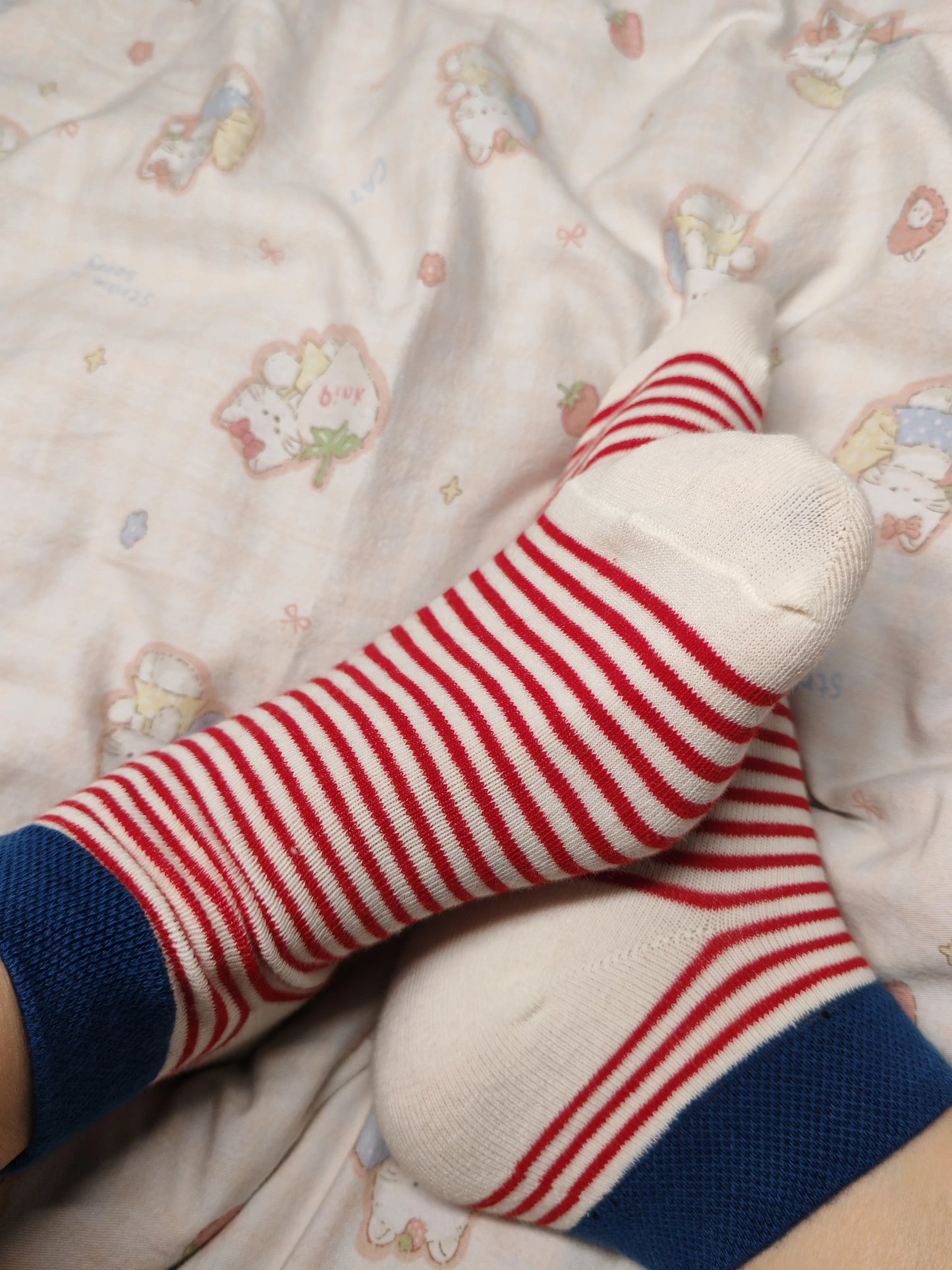 Striped Ankle Socks for Women | Color Block Cotton Casual Socks